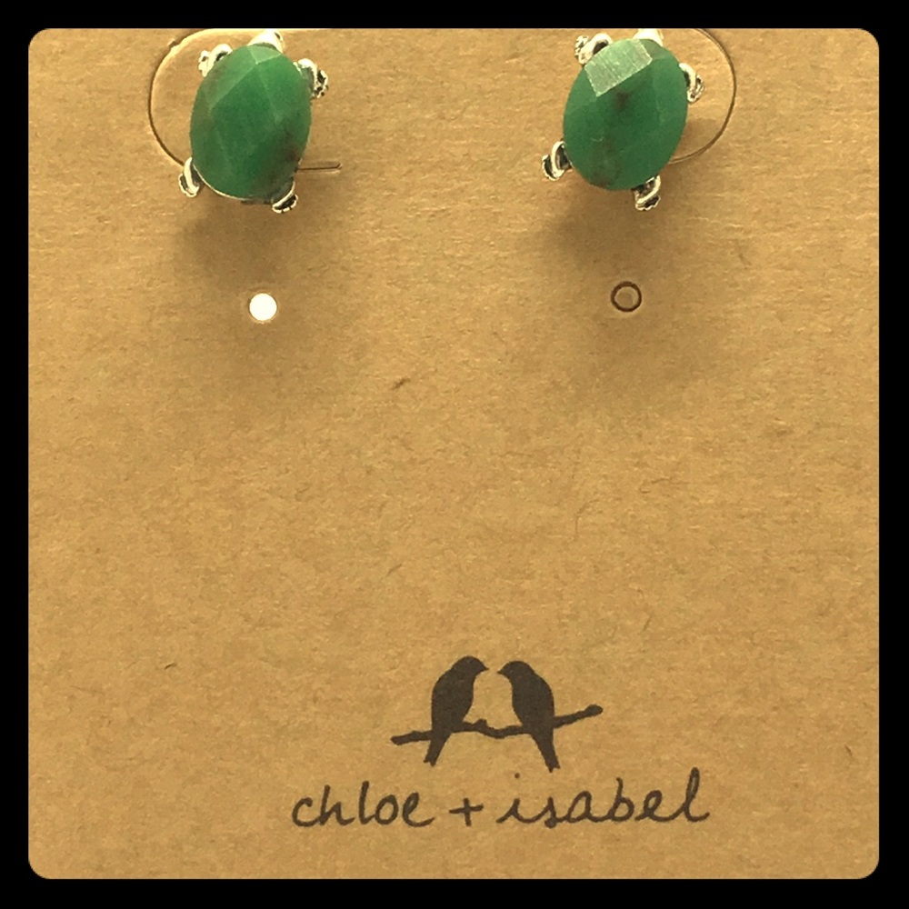 🐢C+I EARRINGS 🐢